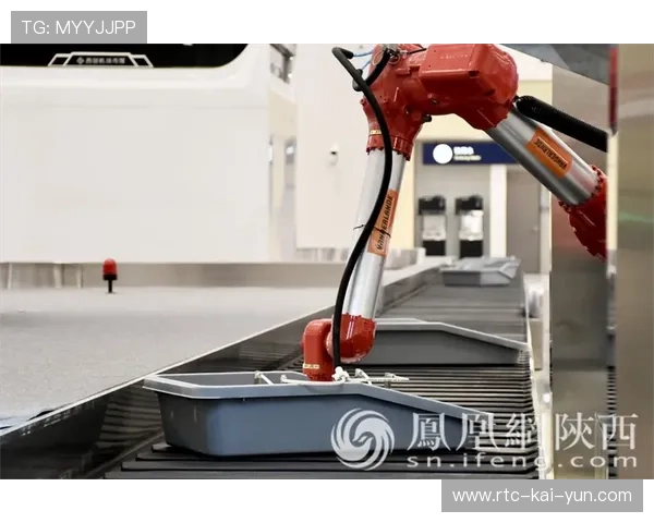 自动化系统在体育用品分拣环节普及提升准确率