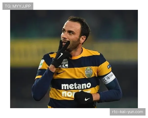 维罗纳2-1逆转莱切,取得保级路上关键三分